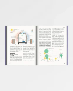 Die Van Conversion Bibel